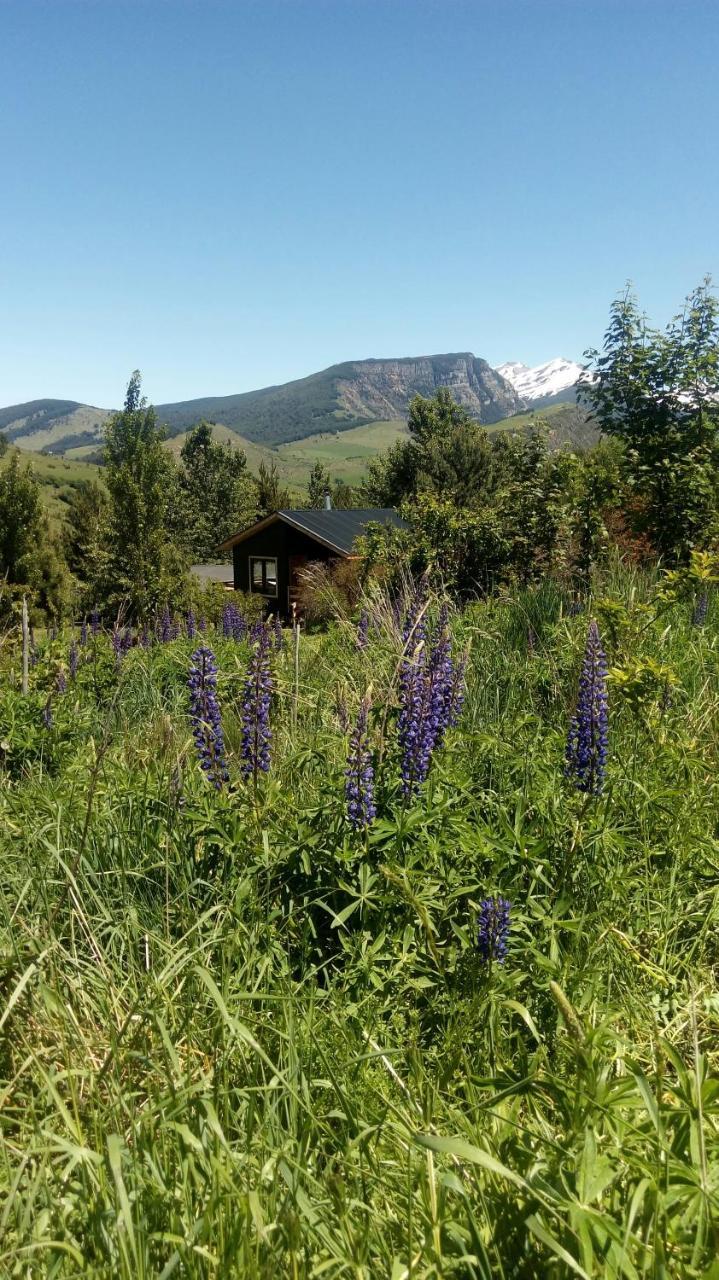 Cabanas Kuyen Coyhaique Bagian luar foto